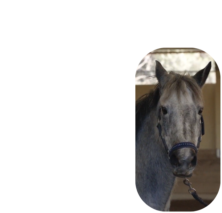 Equipo Natura Awakening